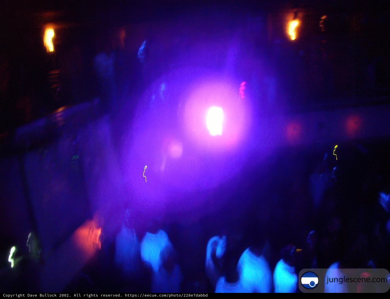 Purple Spotlight on the Nightclub Crowd