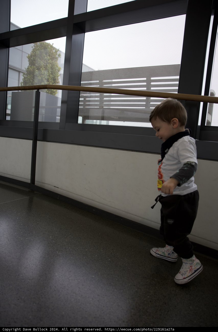Young Explorer: Wesley at the Window
