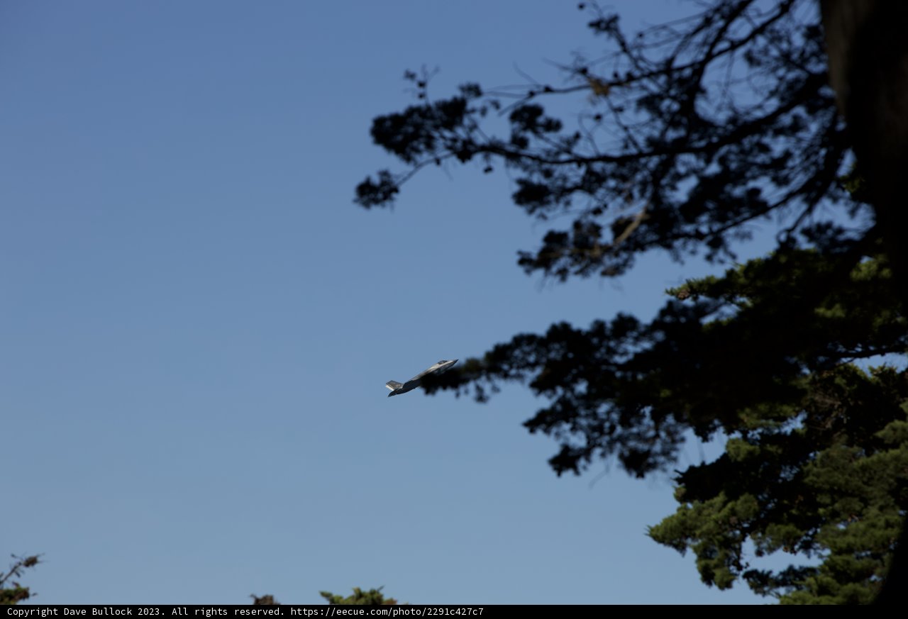 Serene Flight over California Forest