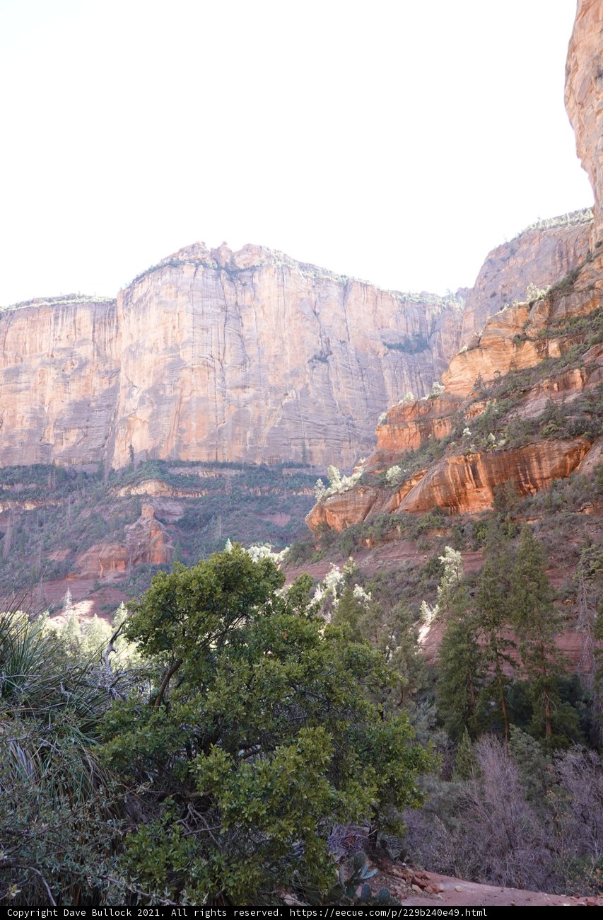 Majestic View of the Canyon from the Top of the Mountain