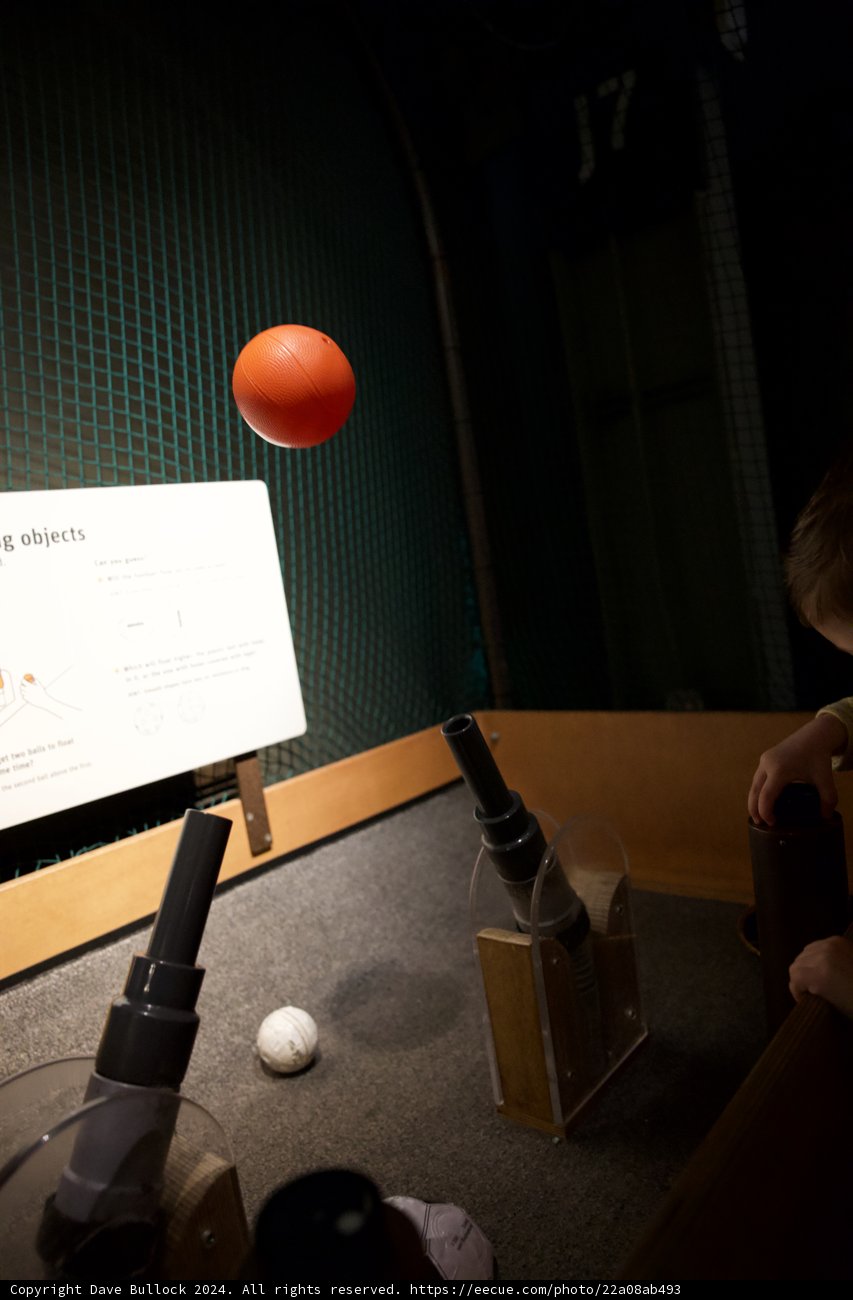 Innocence Reimagined in Playtime