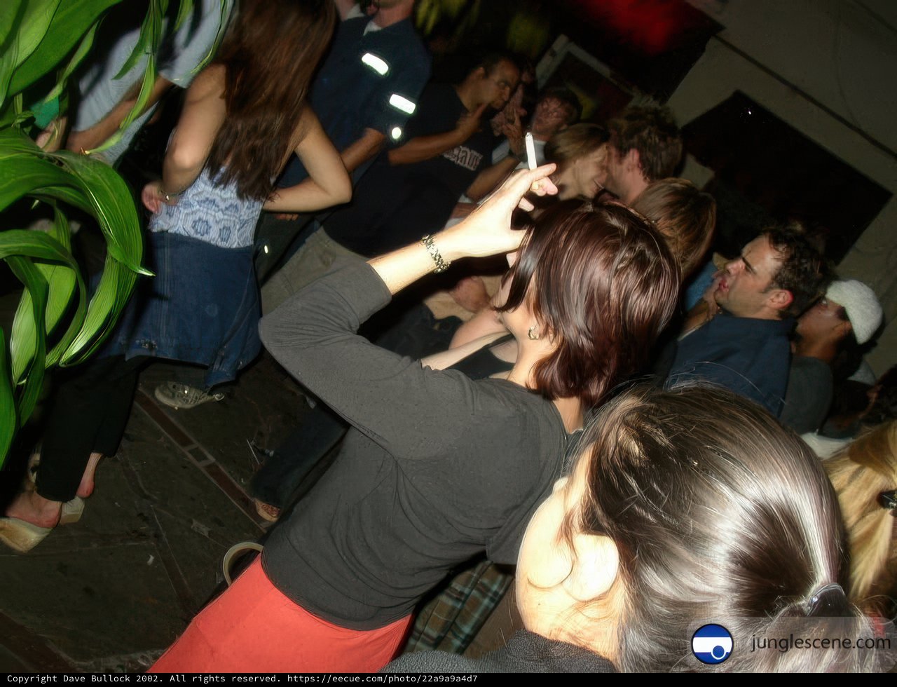 Nightclub Excitement