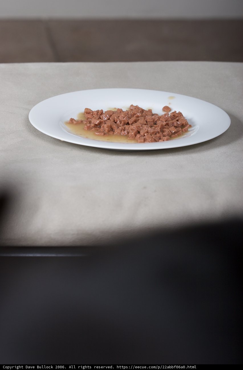 Fine Dining on Display