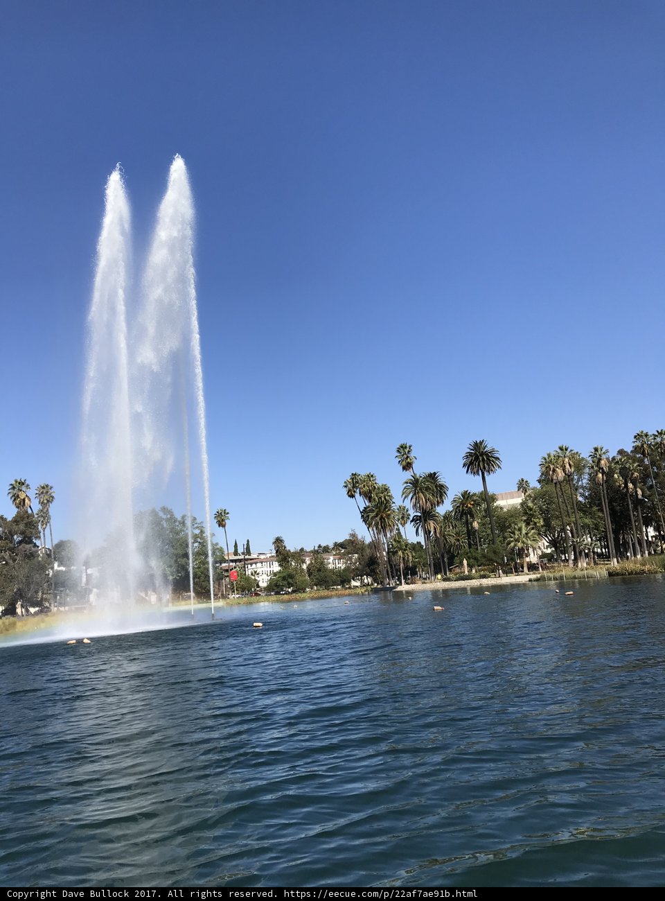 Twin Fountains Reach for the Sky