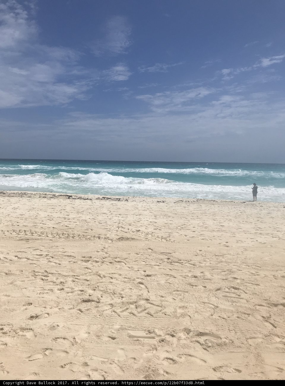 Surfer's Paradise