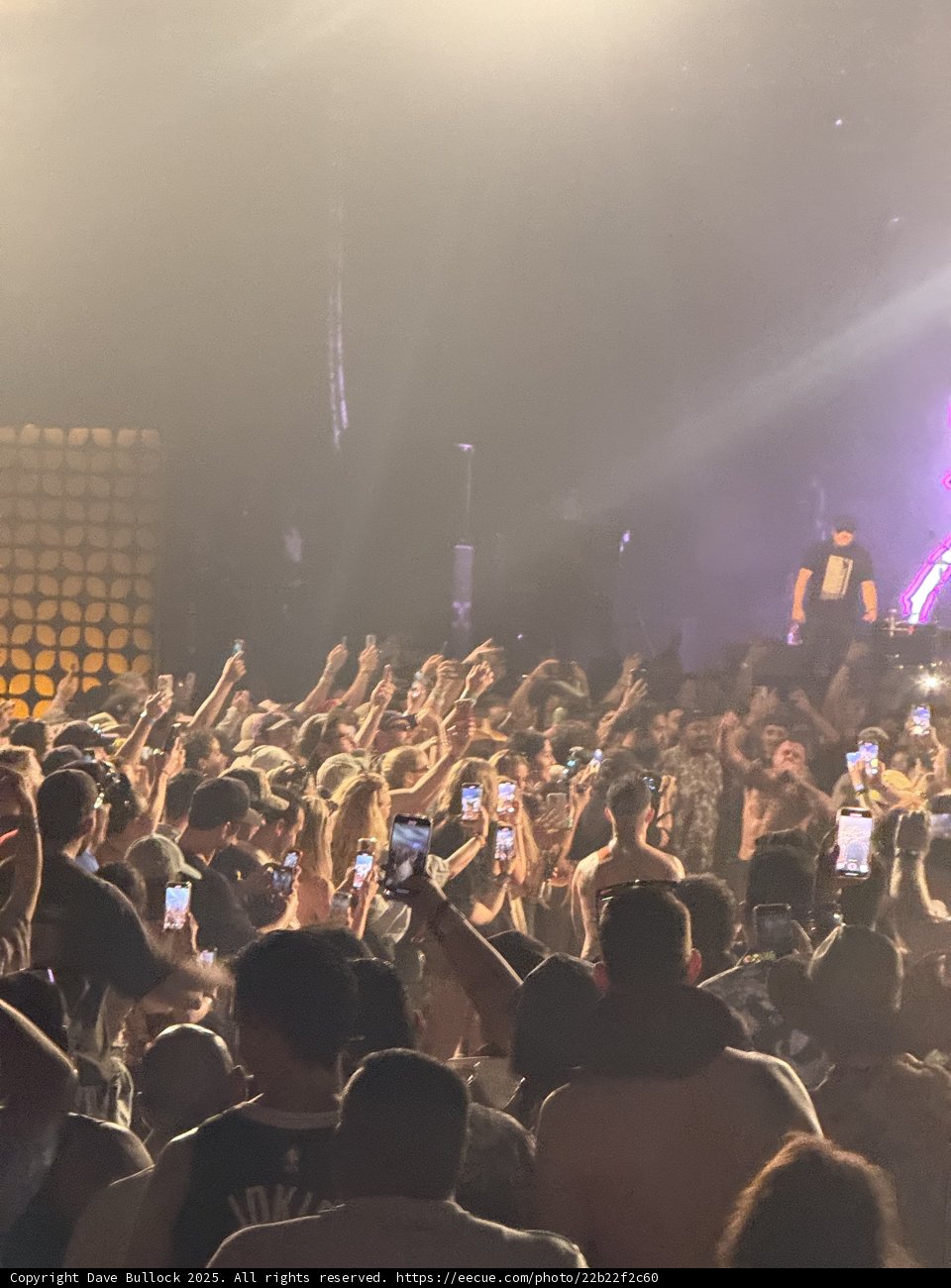 Electric Night at the Empire Polo Club