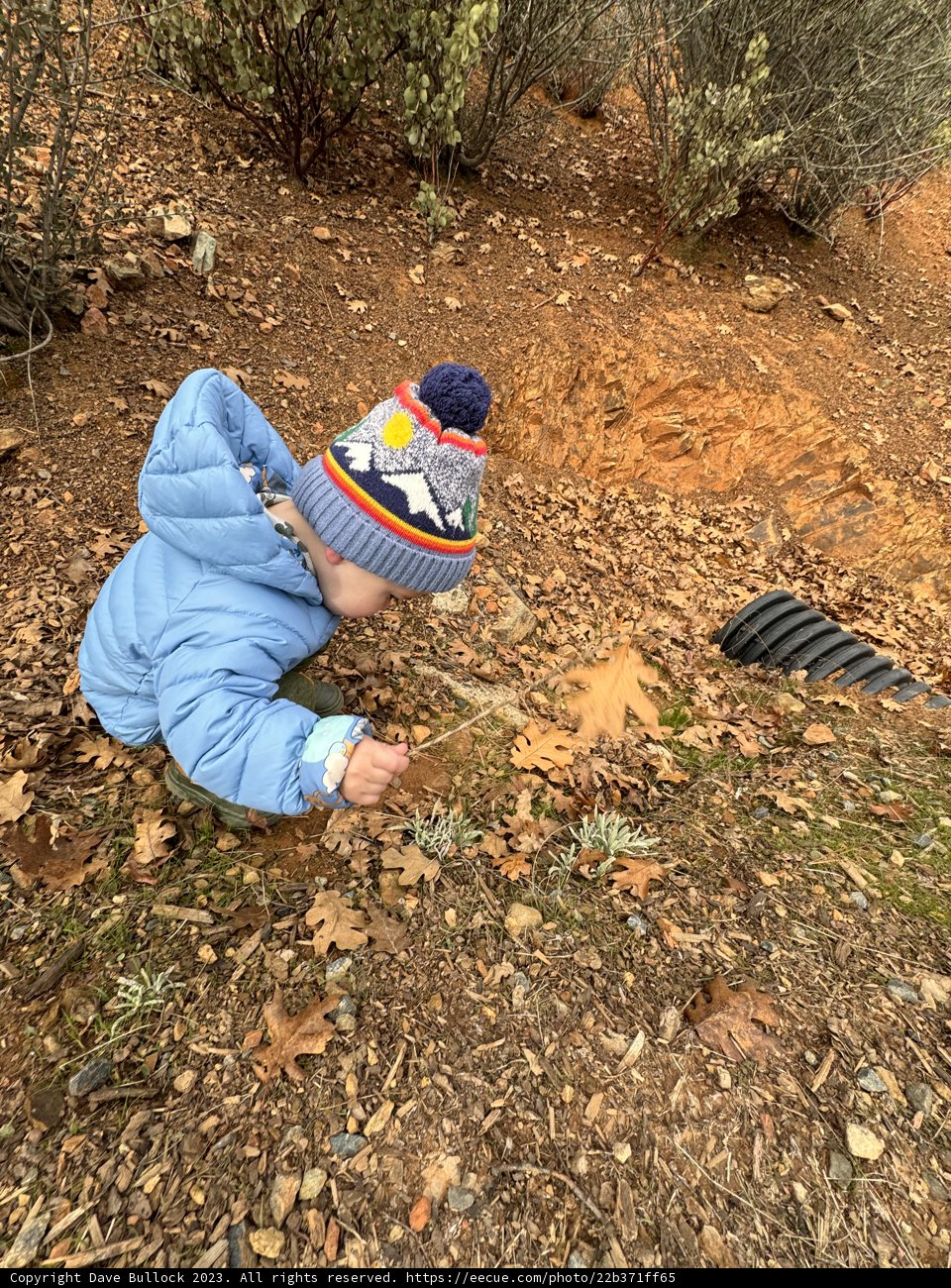Exploration in Blue: A Child's Adventure in Nature