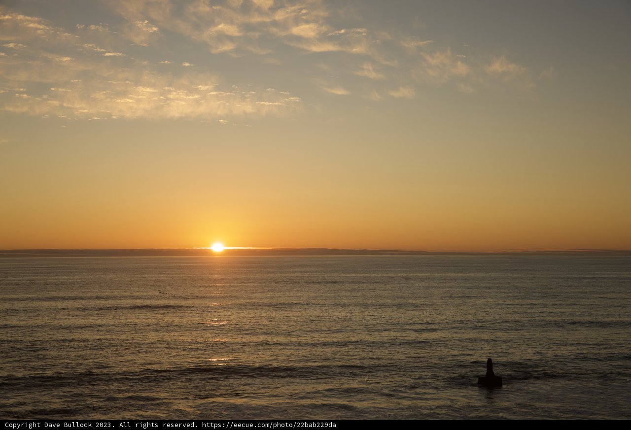 Golden Solitude at Halfmoon Bay