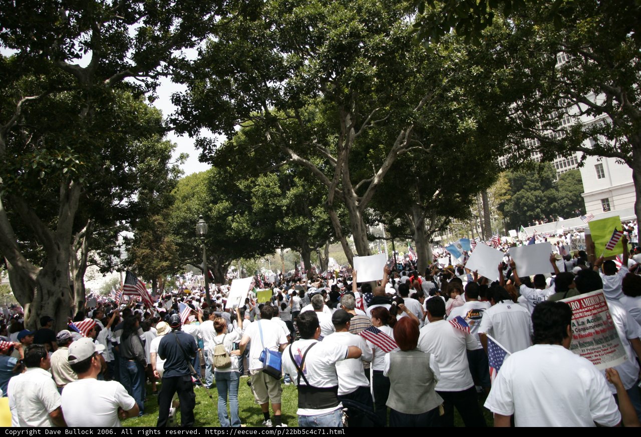 Protesters Gather in the Park