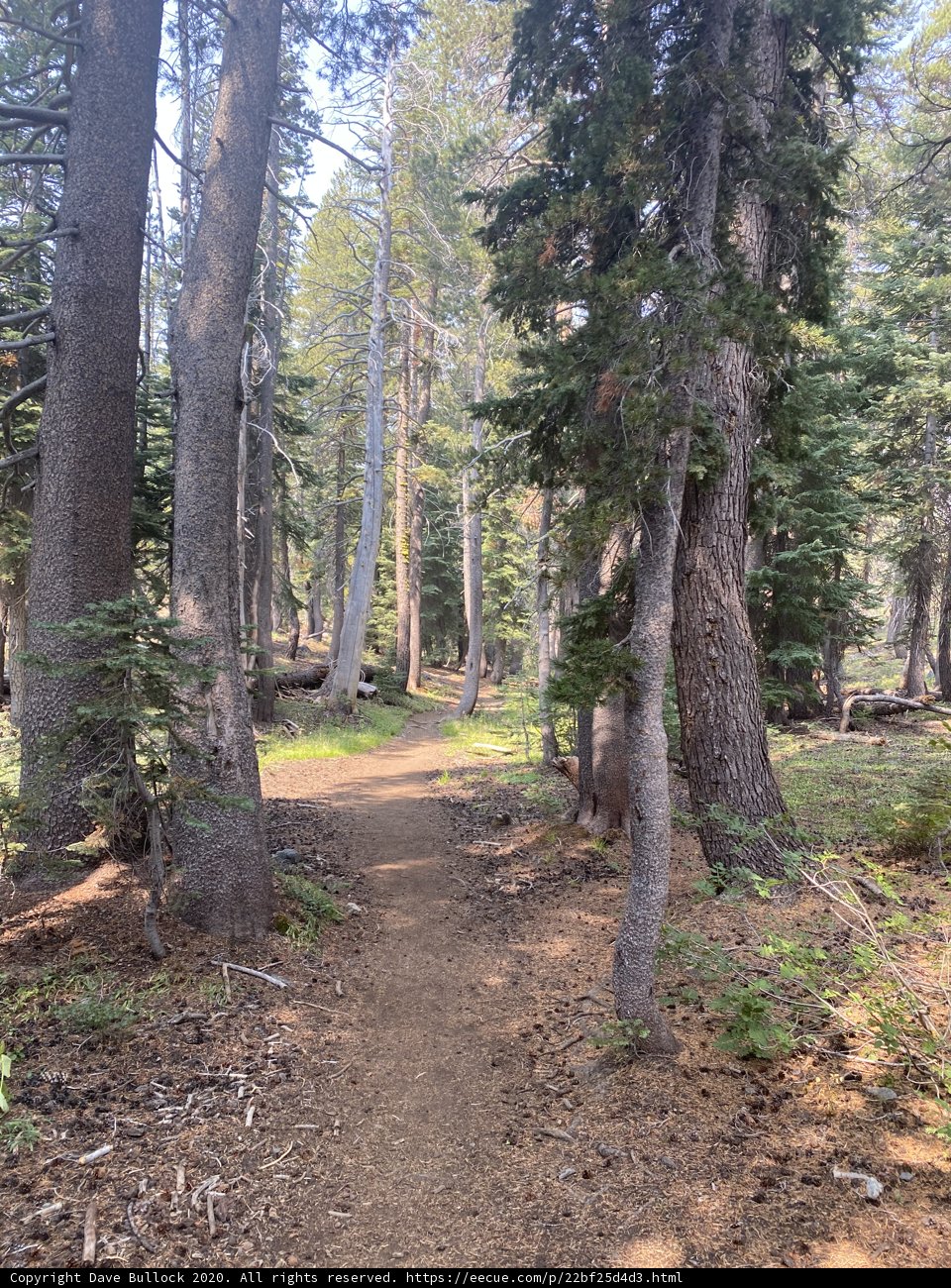A Breathtaking Trail in the Desolation Wilderness