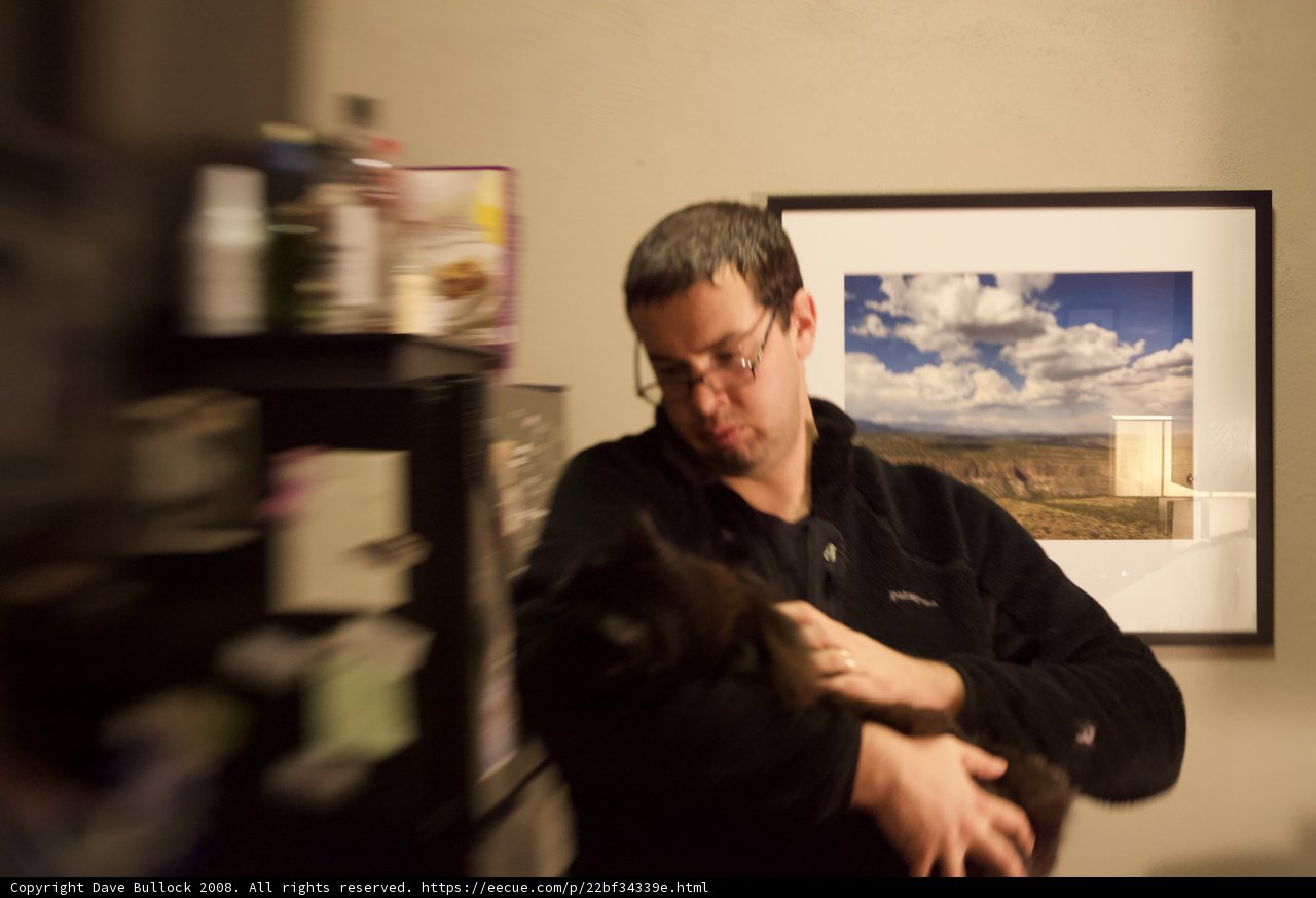 Man and Cat in Art Gallery
