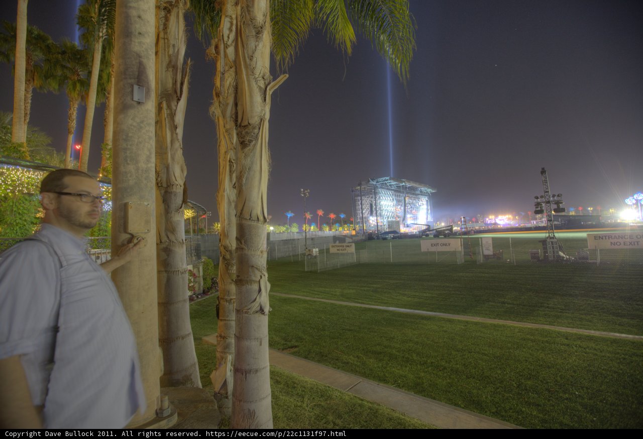 Nighttime Oasis