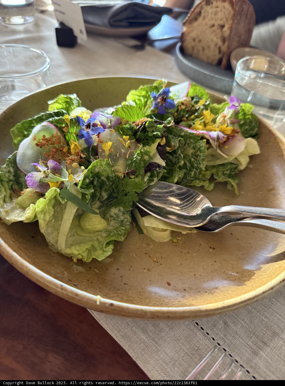 Vibrant Brunch in San Francisco