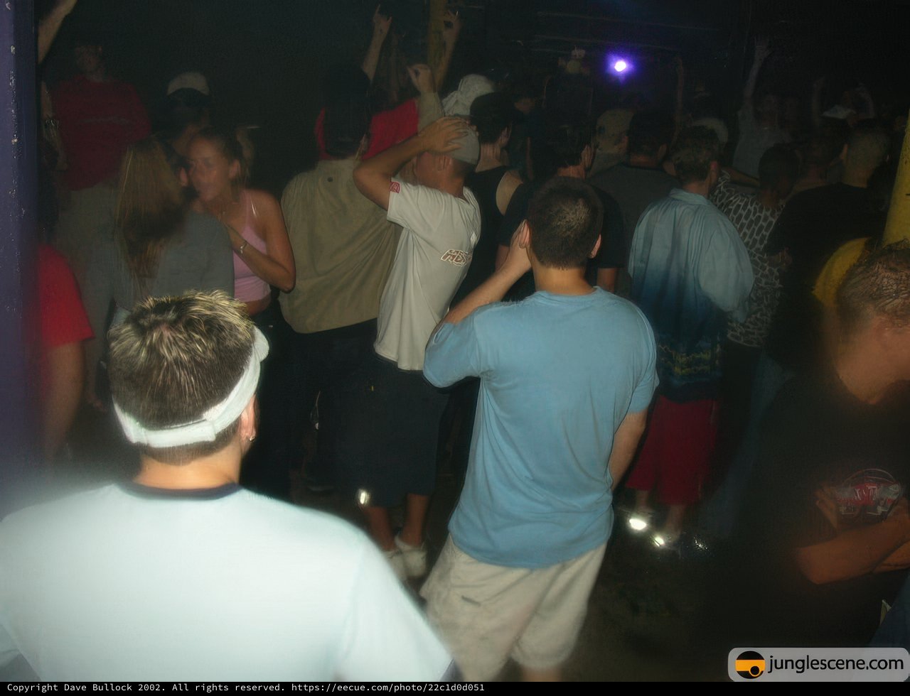 Nightlife at the Disco
