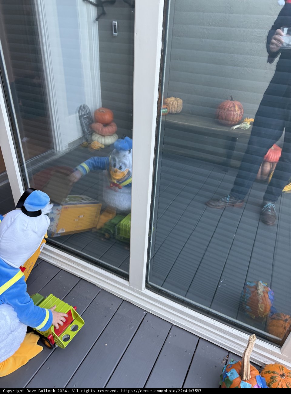 Halloween Reflections