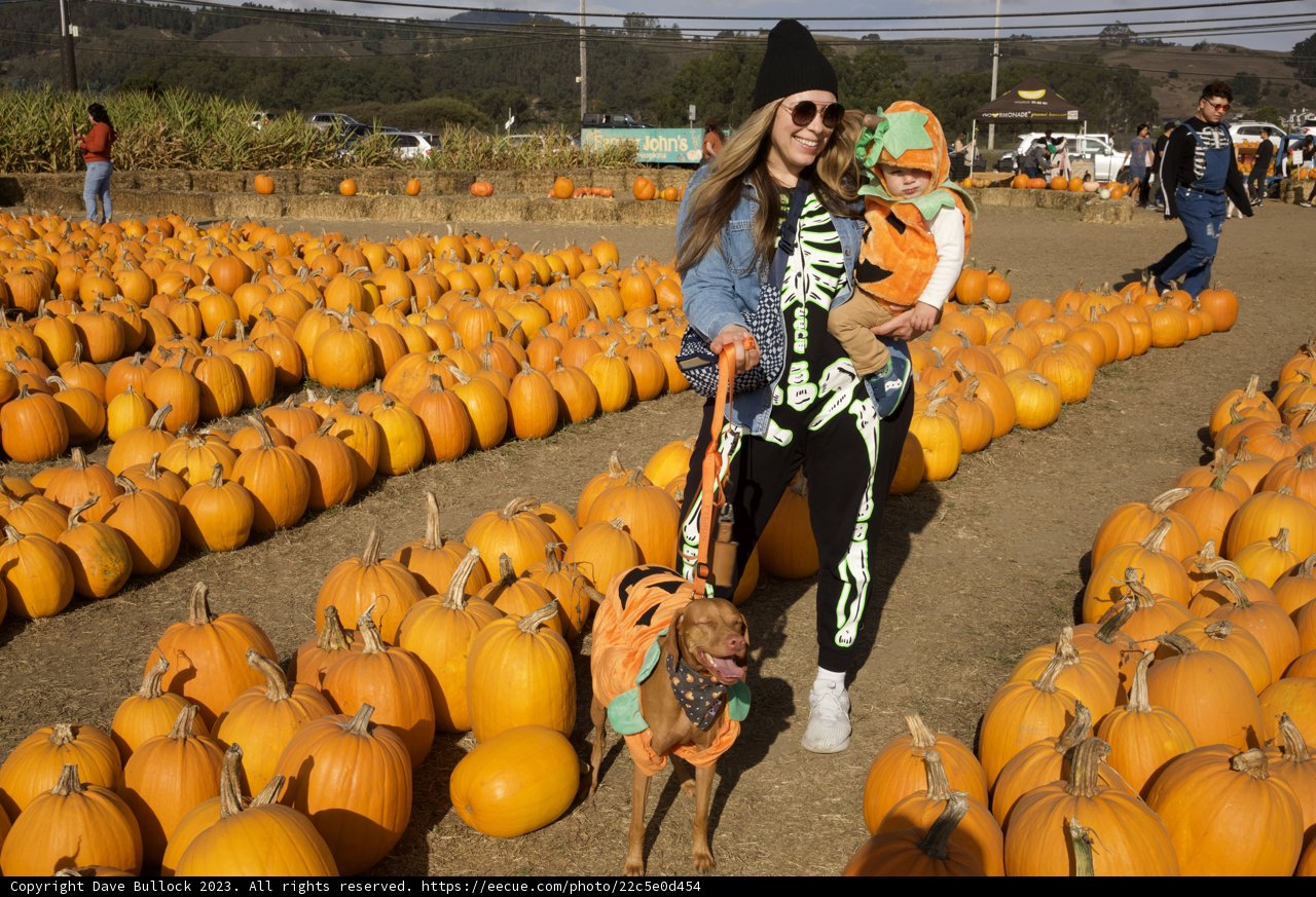 An Autumnal Adventure at Halfmoon Bay Pumpkin Patch