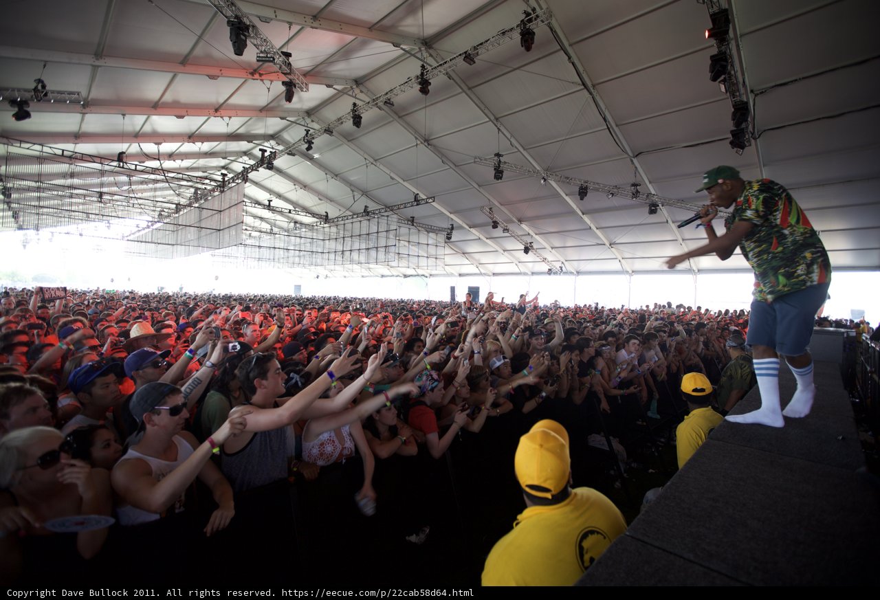 Concert Crowd Enthralled by Yellow-Clad DJ