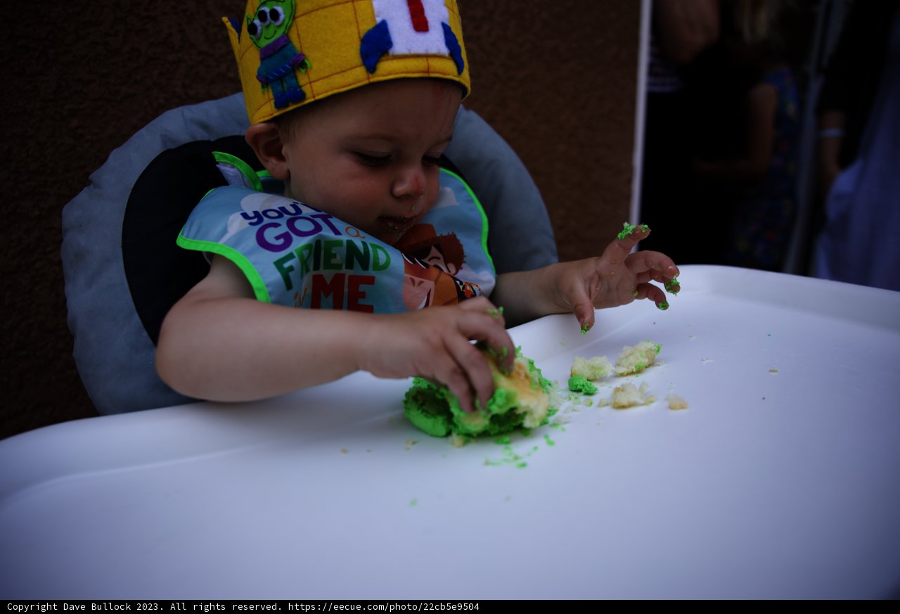 Wesley's Big One: A Sweet Celebration