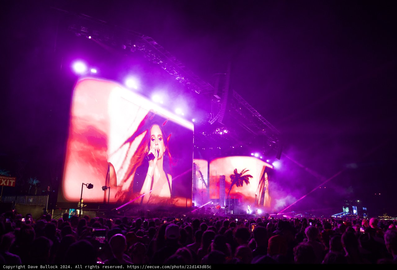 Electric Nights at Coachella 2024