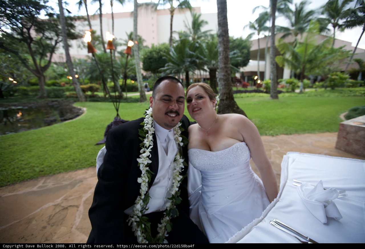 A Beautiful Hawaii Wedding