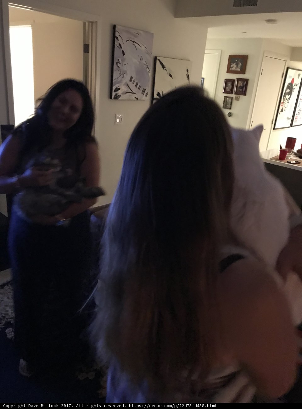 A Woman and Her Feline Friend