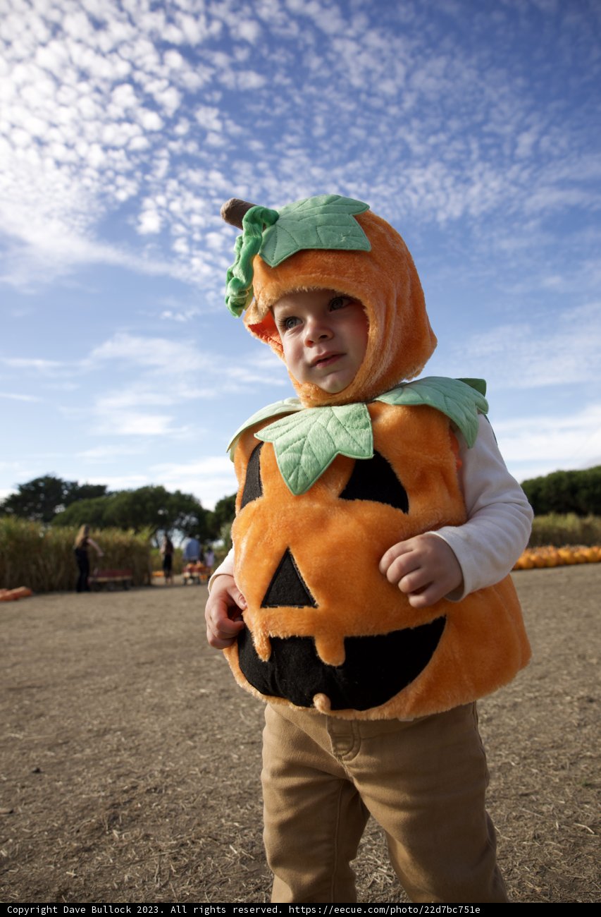 Wesley's Pumpkin Patch Adventure, 2023.