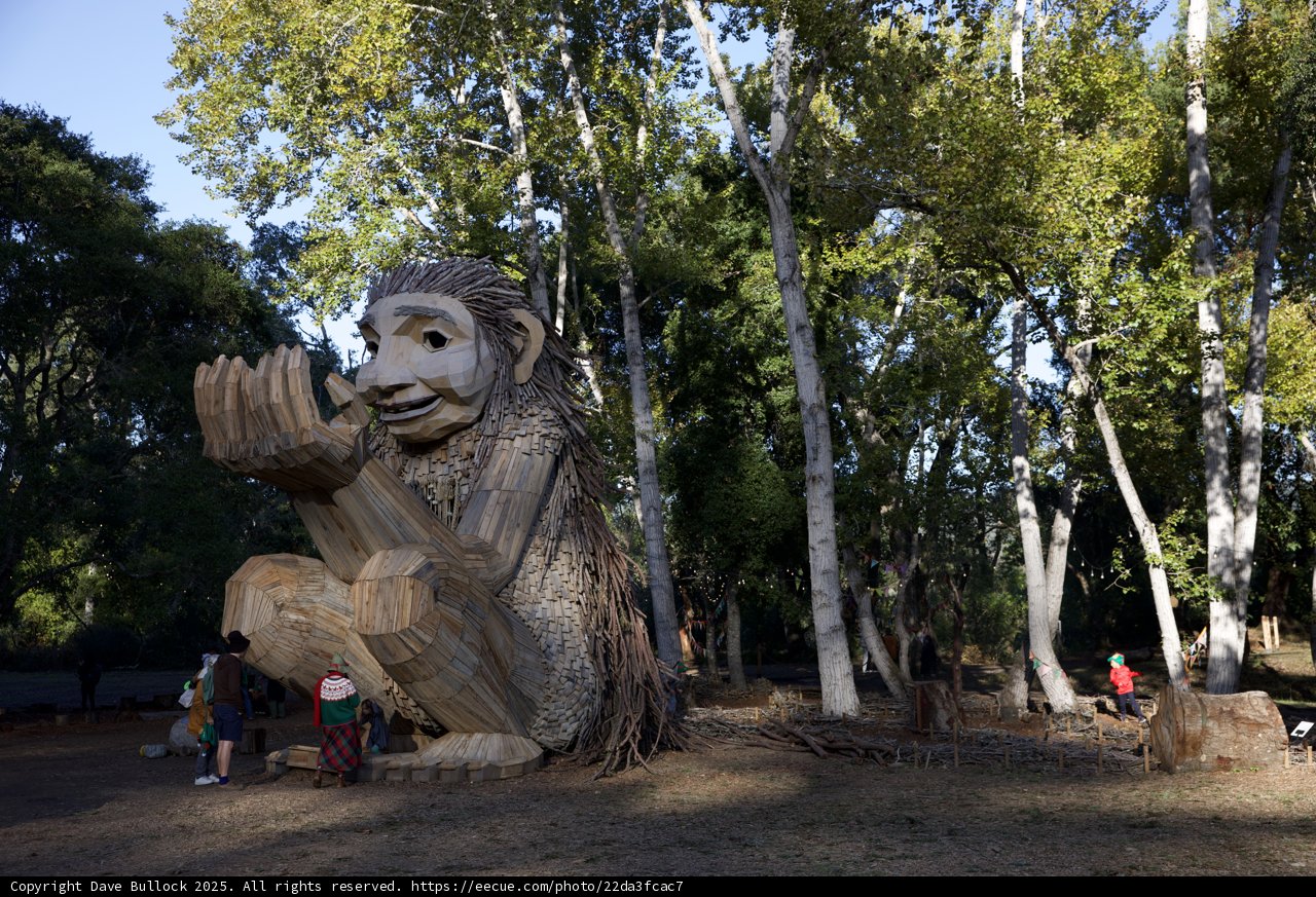 Whimsical Woodland Encounter