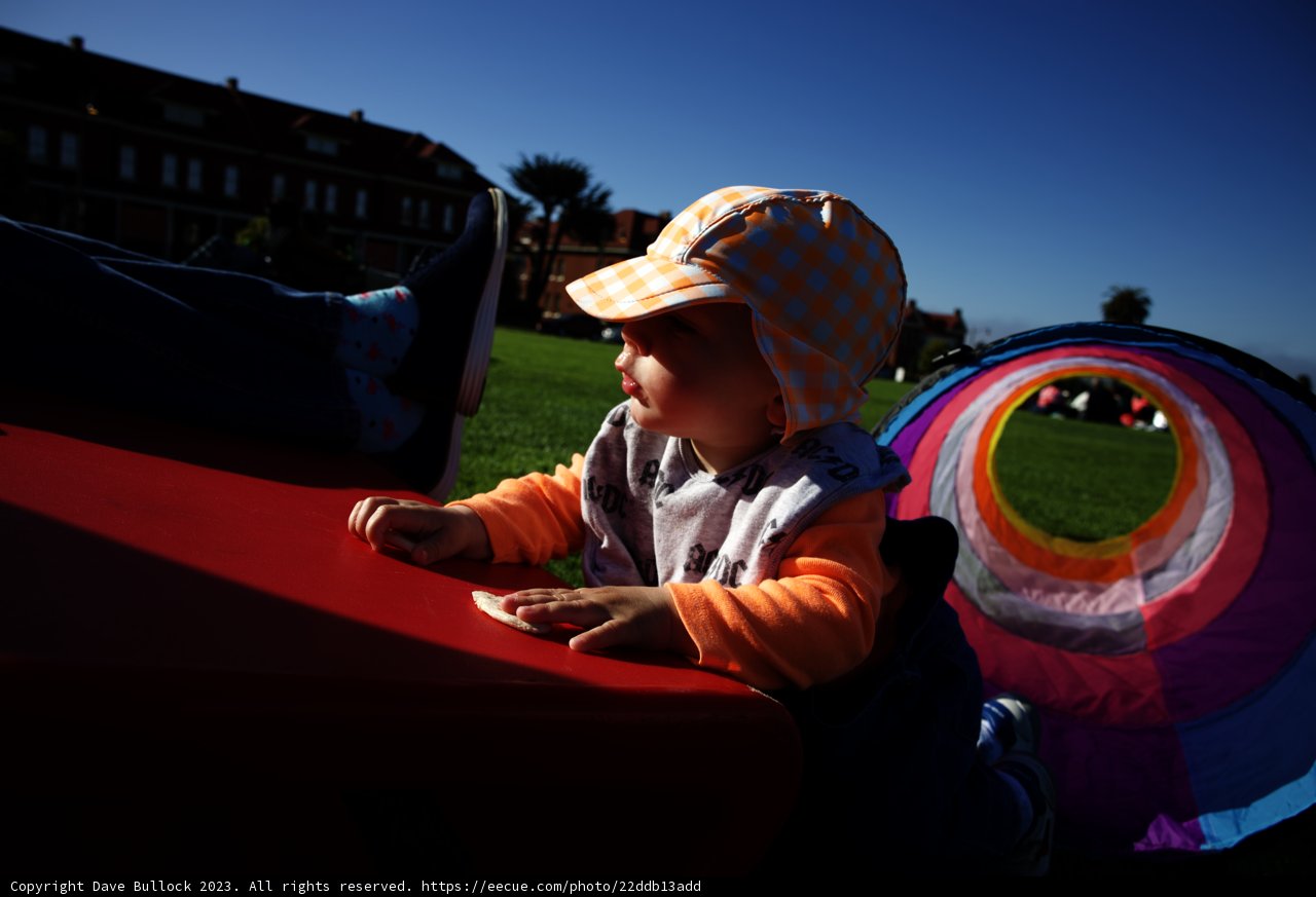 A Playful Day at the Park