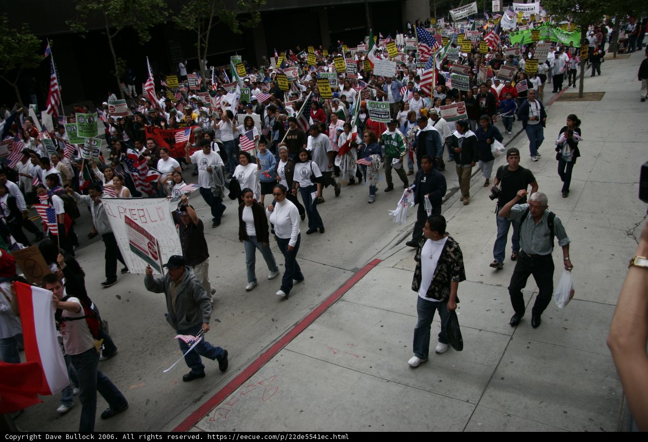 Patriotic Crowd Walking on Street