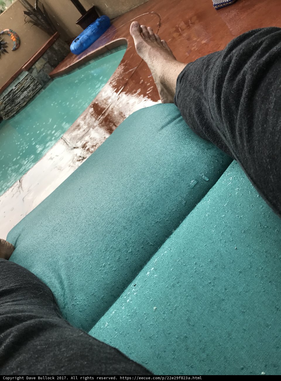Poolside Relaxation