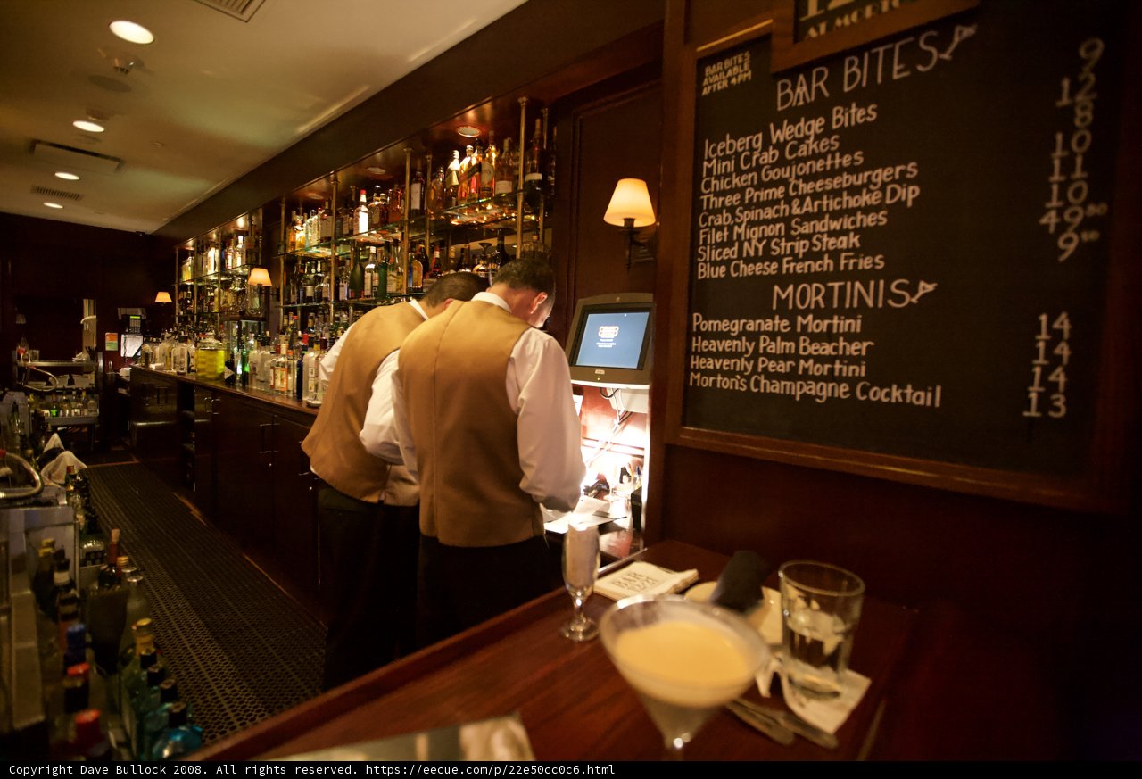 Two Men Perusing Menus at a Cozy Pub