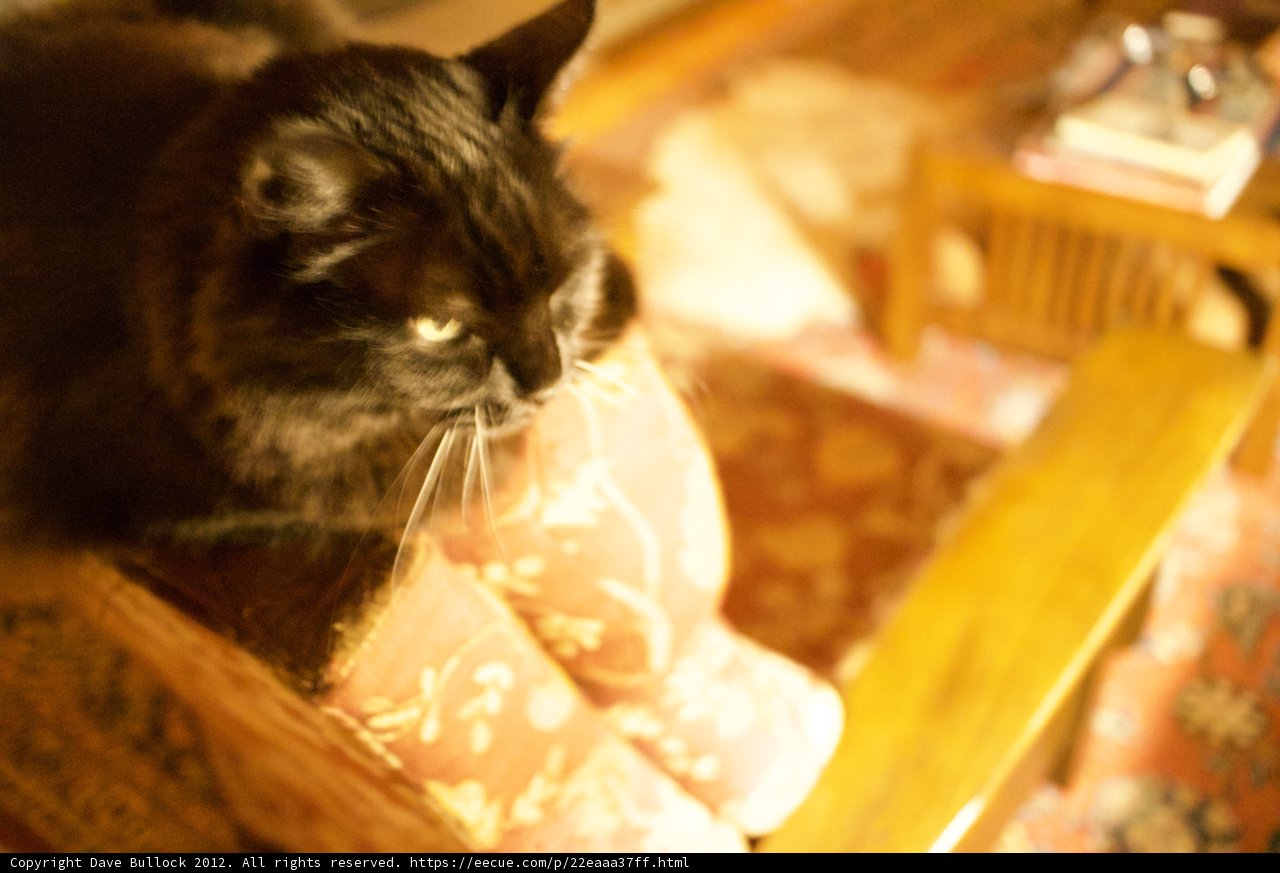 Relaxing on my favorite chair