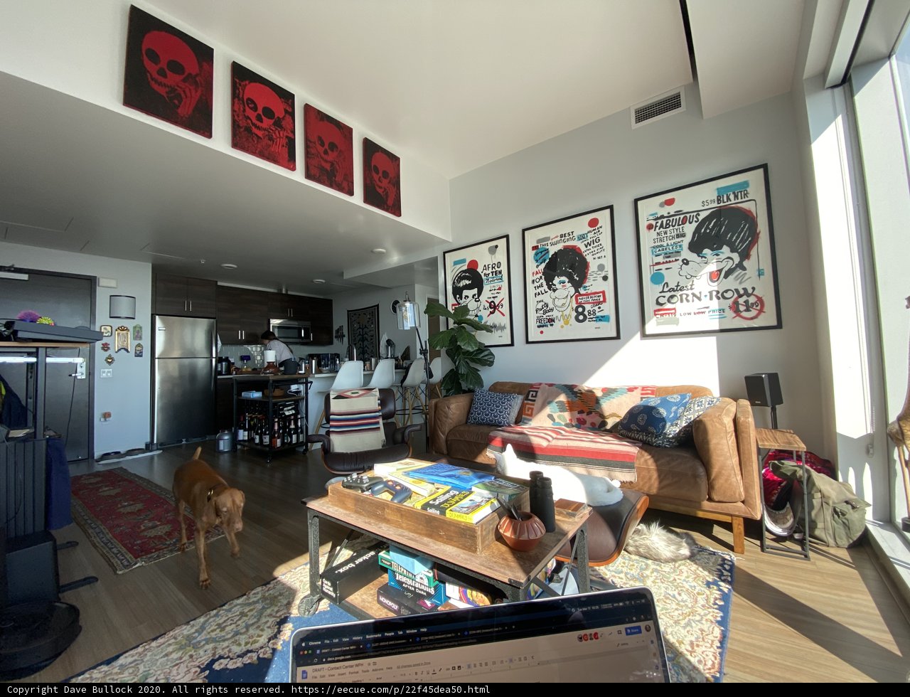 Cozy Living Room with Furry Companion
