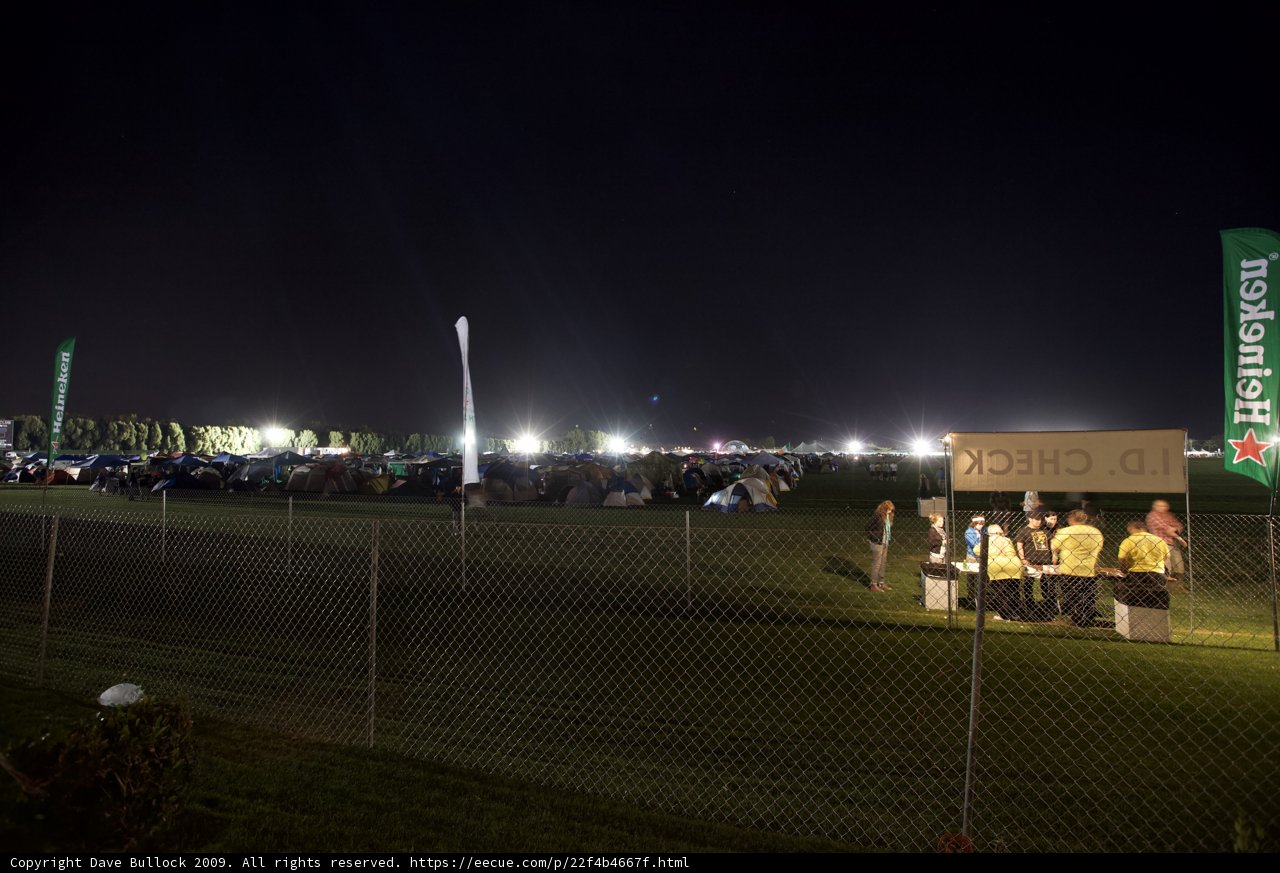 Nighttime Gathering
