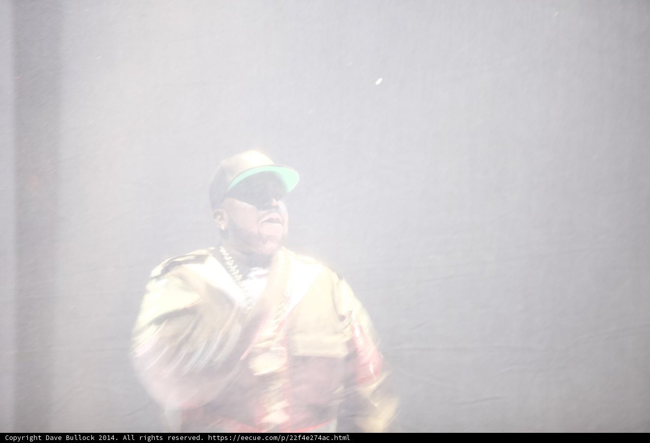 Into the Fog