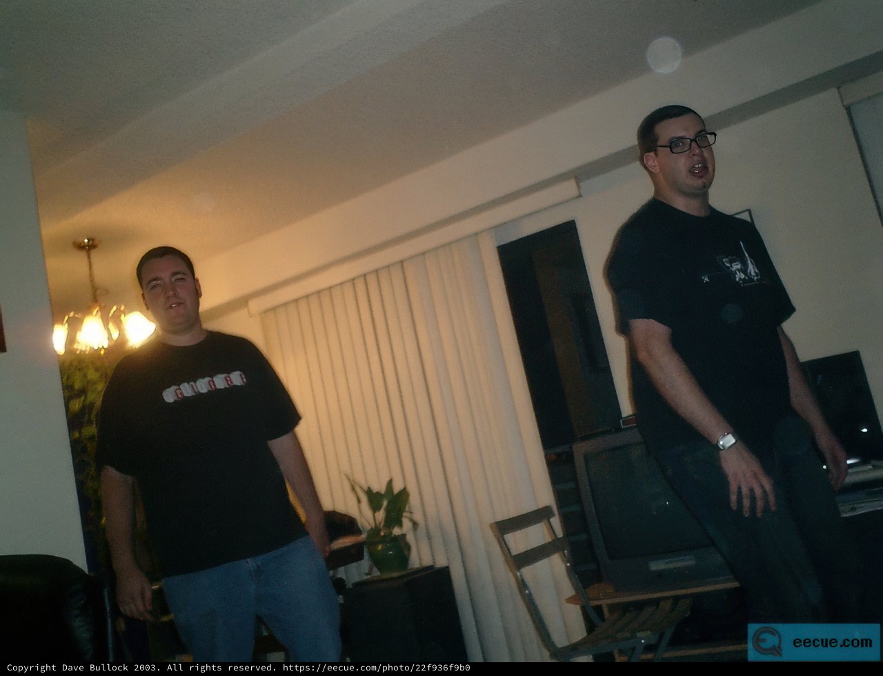 Two Men in a Cozy Living Room
