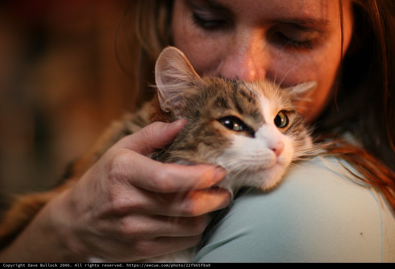 Tender Moment: Woman Cradles Tabby Kitten Lovingly