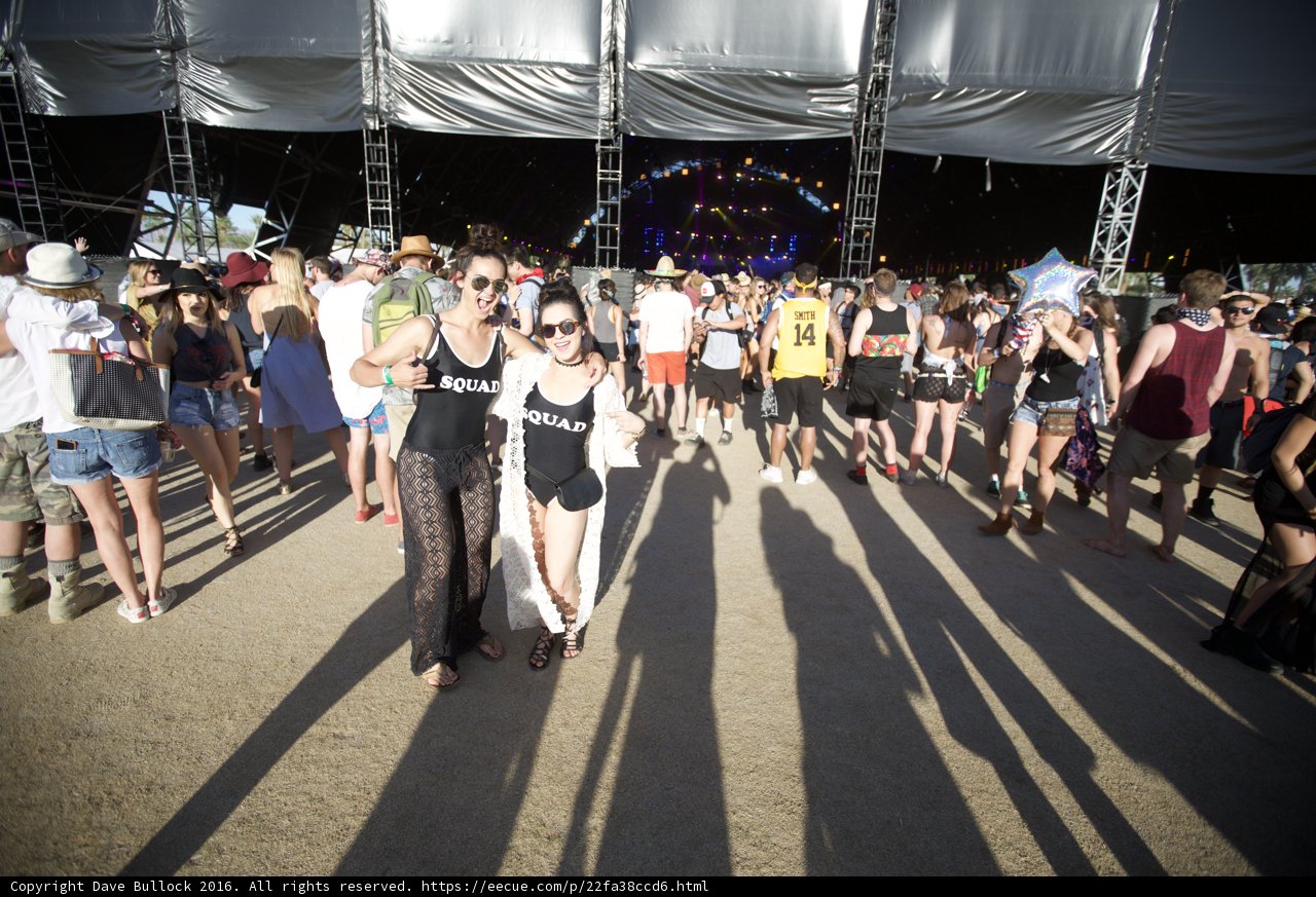 Festival Frenzy