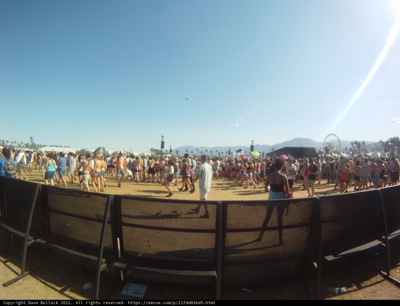 The Vibrant Energy of a Music Festival Crowd