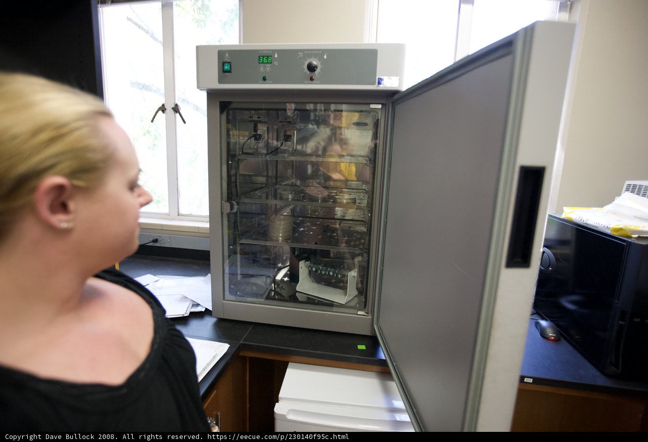 Experimenting with Electronics in the Lab