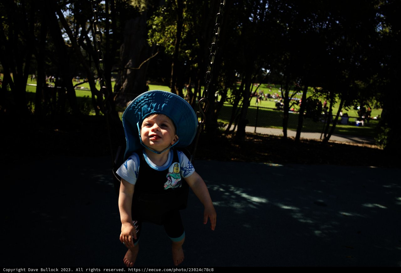 Childhood Explorations in Golden Gate Park