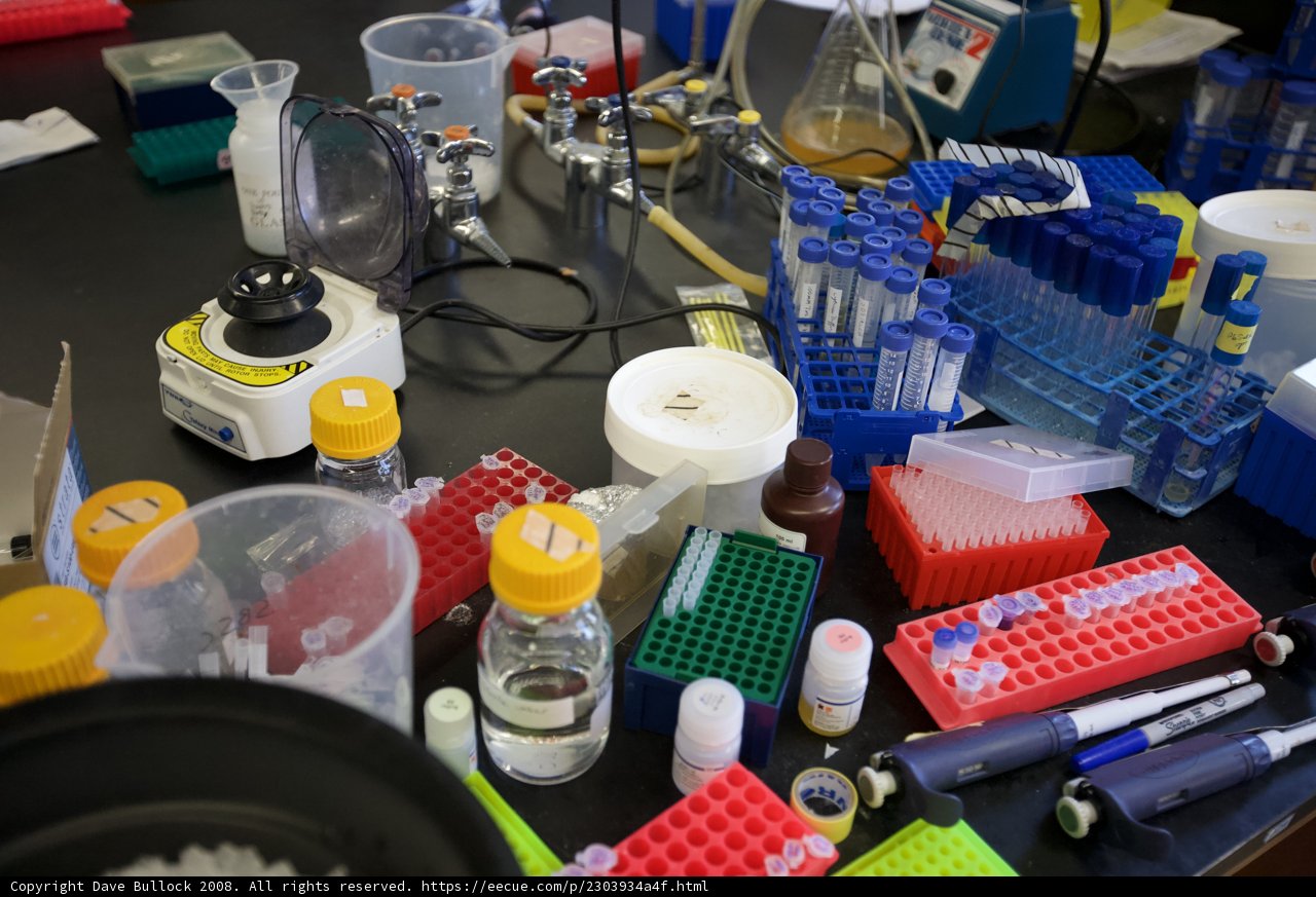 A Busy Laboratory Table