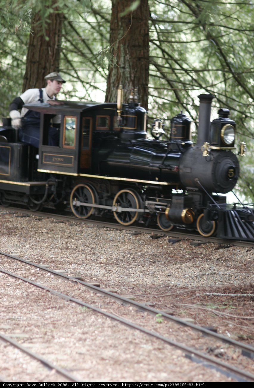 Riding Through the Forest on a Real Locomotive