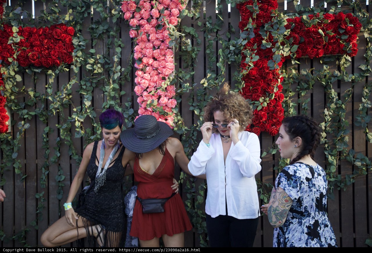 FYF Rose Wall Group