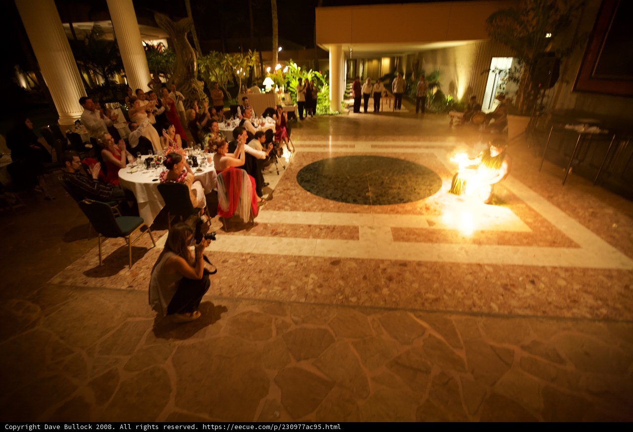Wedding Reception by the Fire
