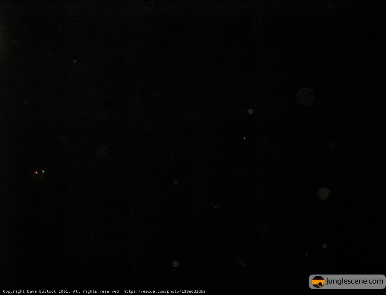 New Year's Eve Stargazing