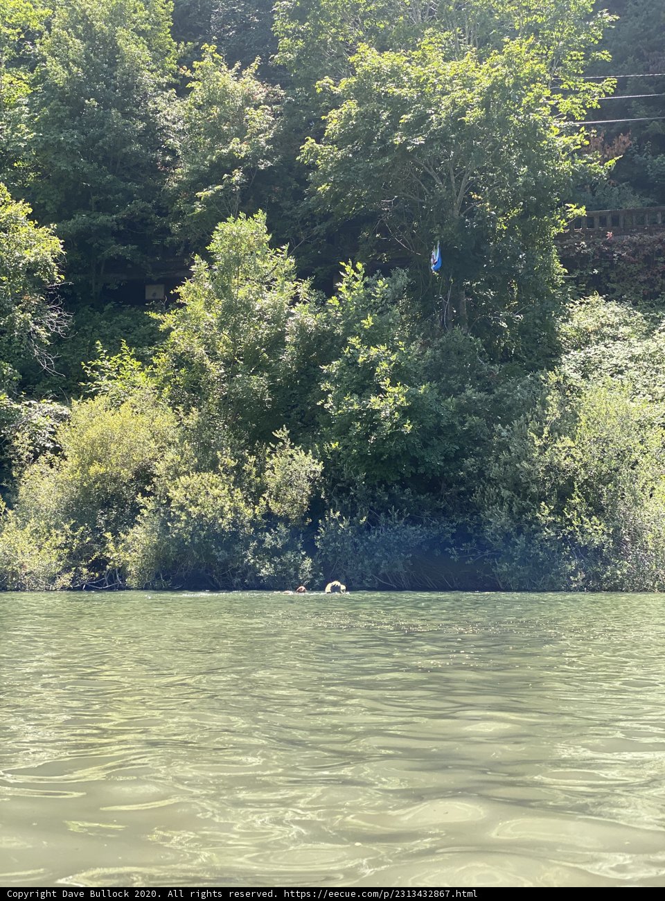 Kite-flying Fun on the Water