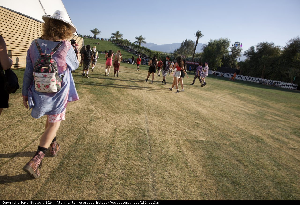 A Day in the Sun: Vibrant Fashion at Coachella 2024