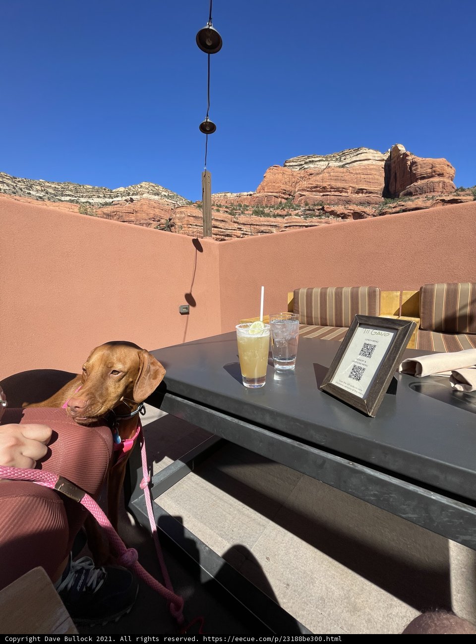 Mountain View Dining