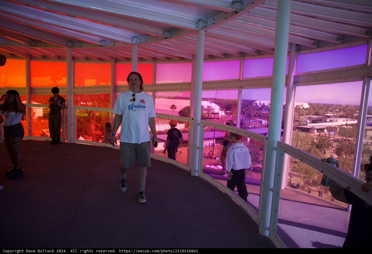 Vivid Hues at Coachella 2024